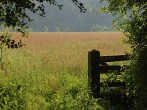Gateway into tent field Gateway into tent field